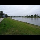 Die Elbe bei Dessau